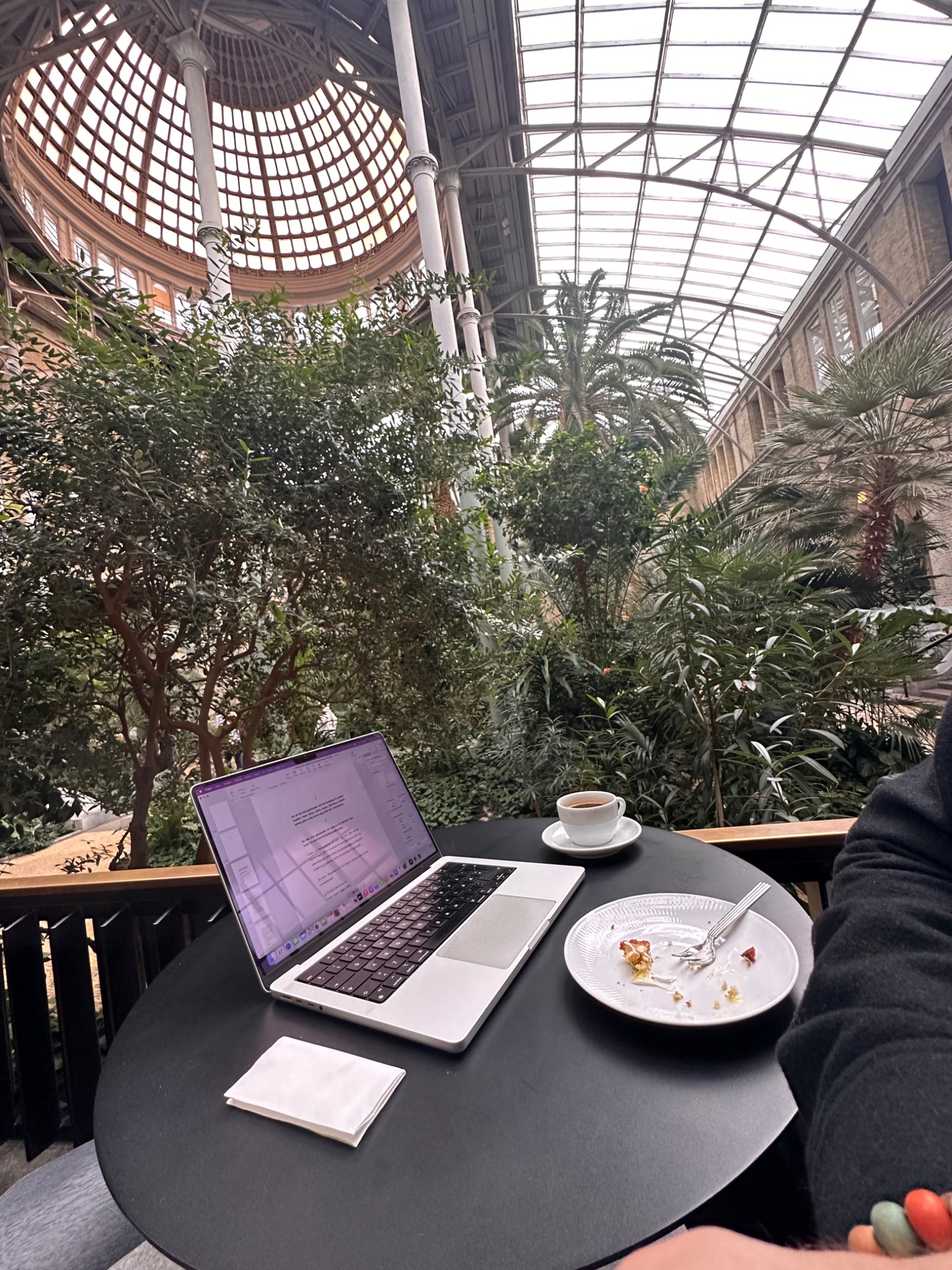 Palmehagen i Glyptoteket i København